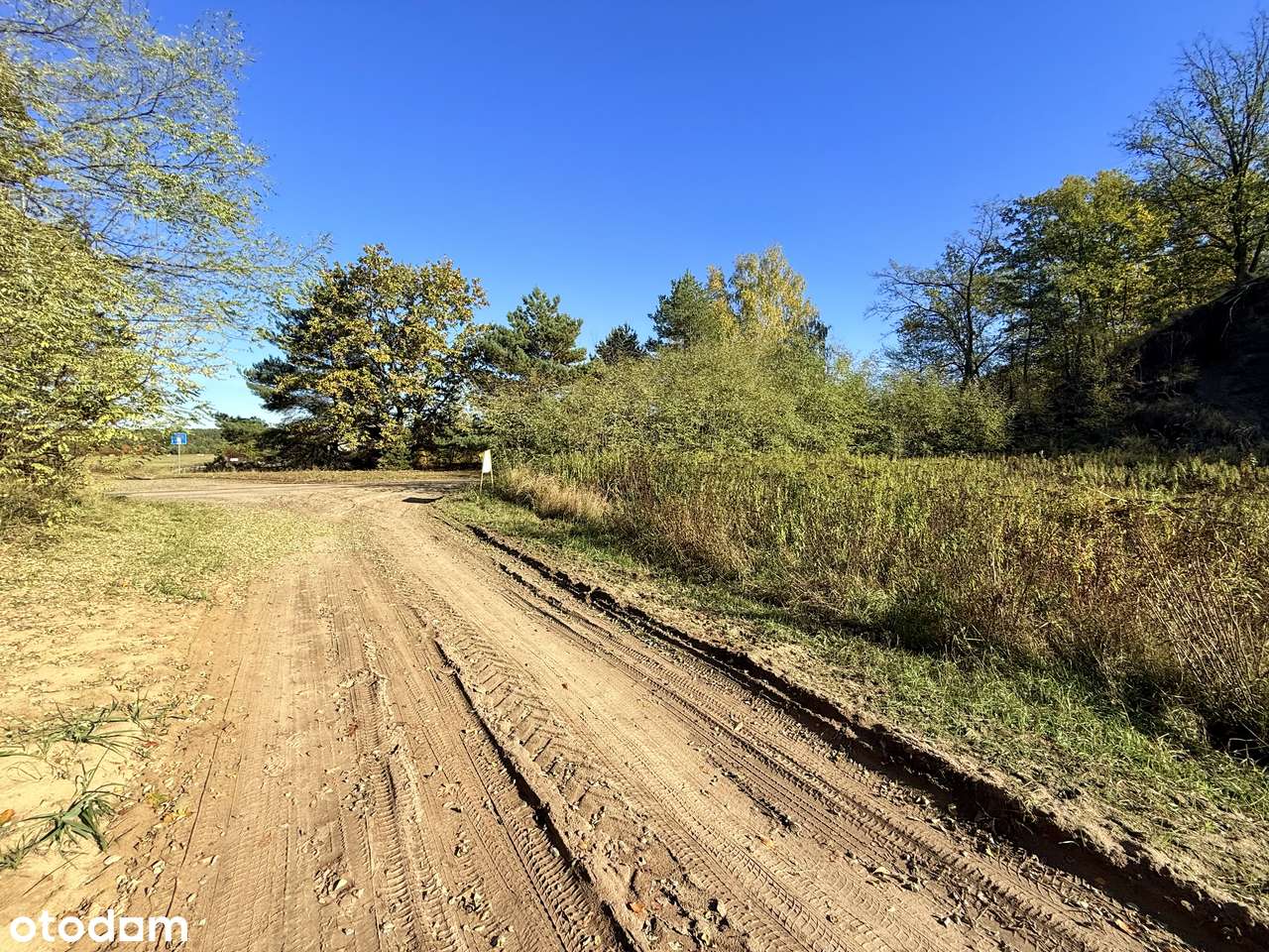 Działka 1983 m² w Józefowie, ul. Leśna – idealne miejsce na Twój dom-8