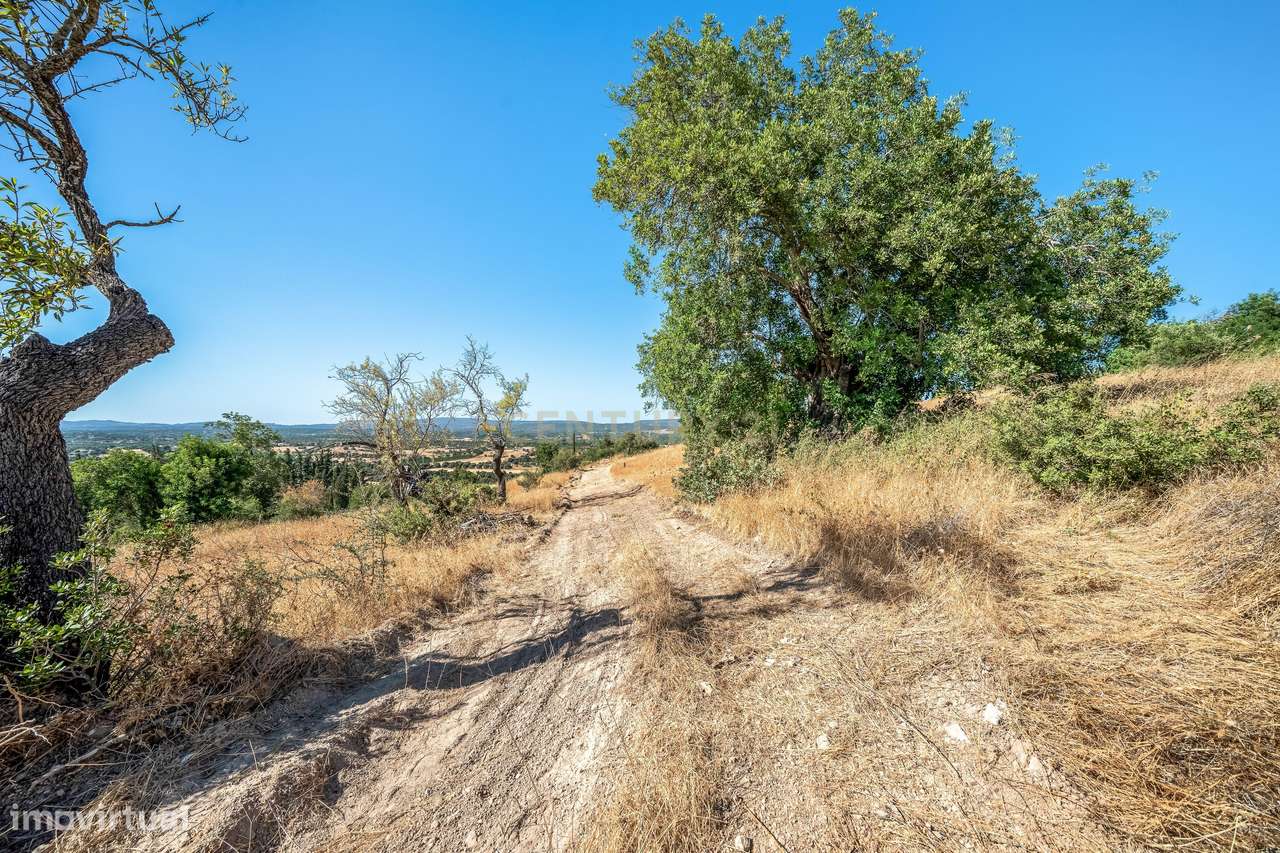 Terreno urbanizável de 6.440 m² em Paderne – Elevado potencial de dese-12