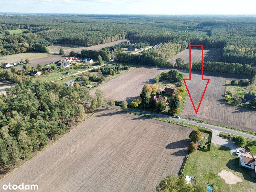 Na wsi blisko lasu - Pełny obrazek: 5/8