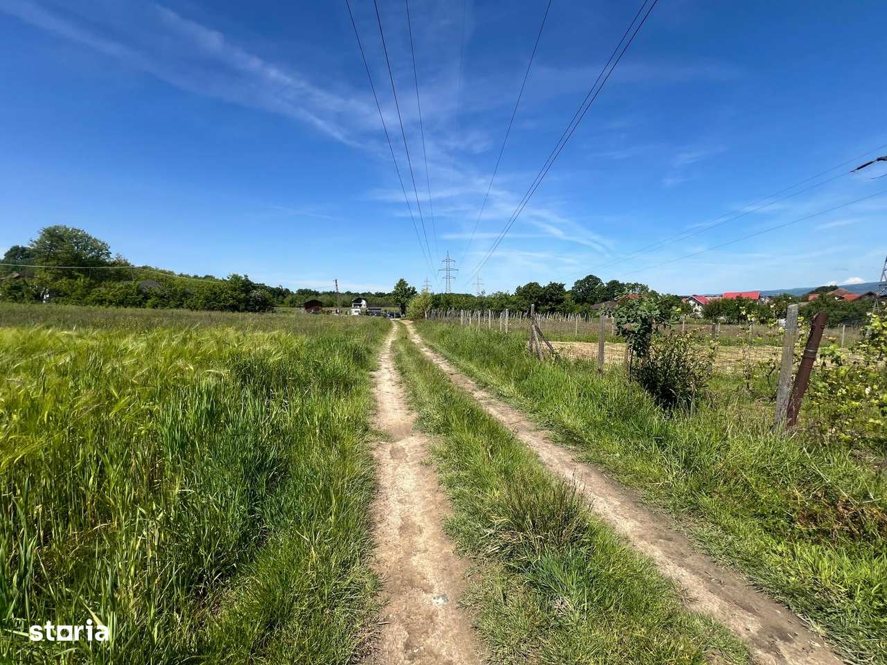 Lapusel - Teren intravilan, 41,46 ari (posibilitate de parcelare) - Imagine principală: 4/5