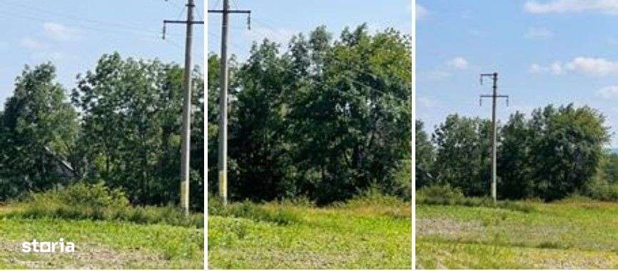 Teren Poiana Zvoristea cota parte 1/2, ID: R2850731 - Imagine principală: 2/11