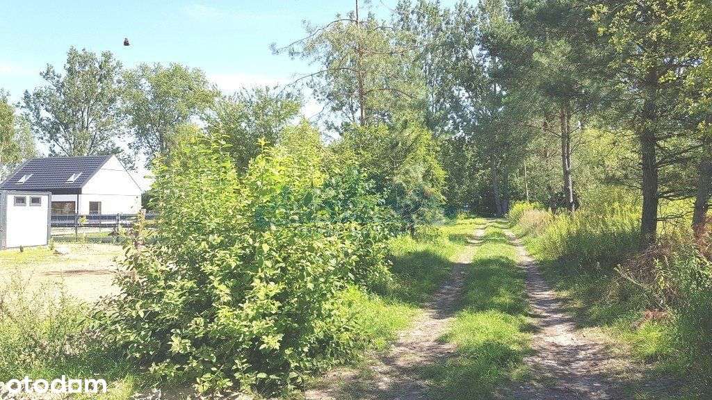 Urokliwa działka z mediami w drodze-0