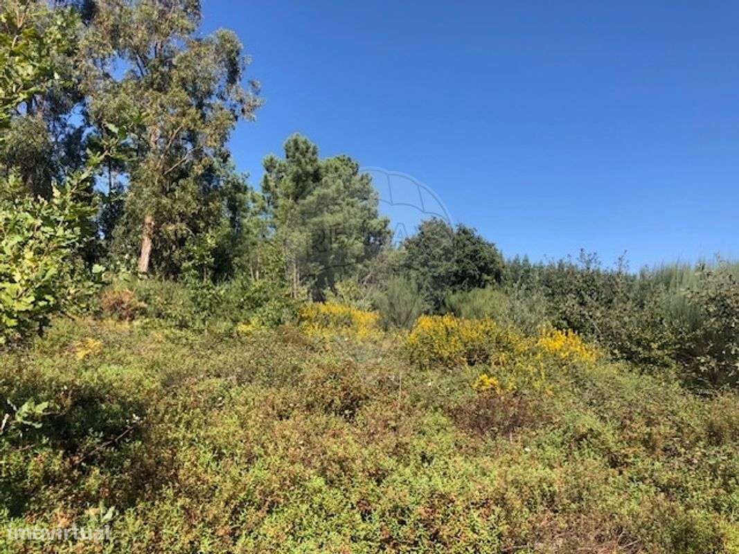 Terreno  para venda - Grande imagem: 3/4