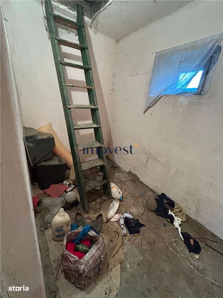 Casa de vanzare in Petin-4