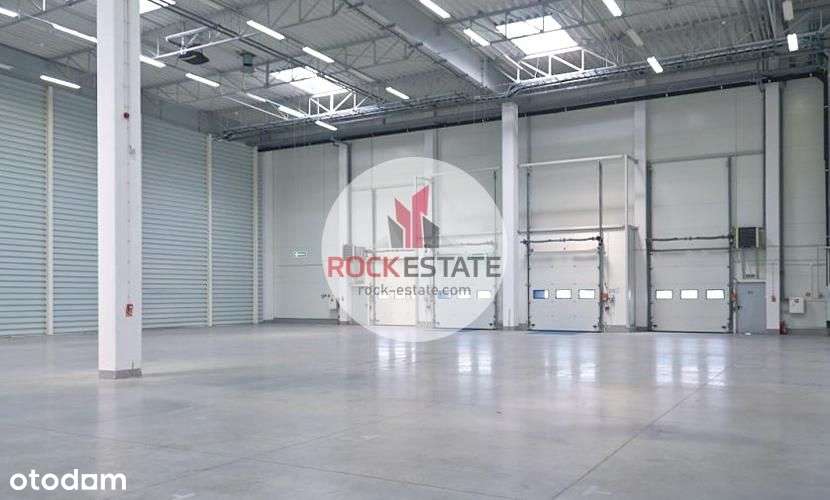 Magazyn do wynajęcia 1056 m2 z antresolą - 0% prow-3