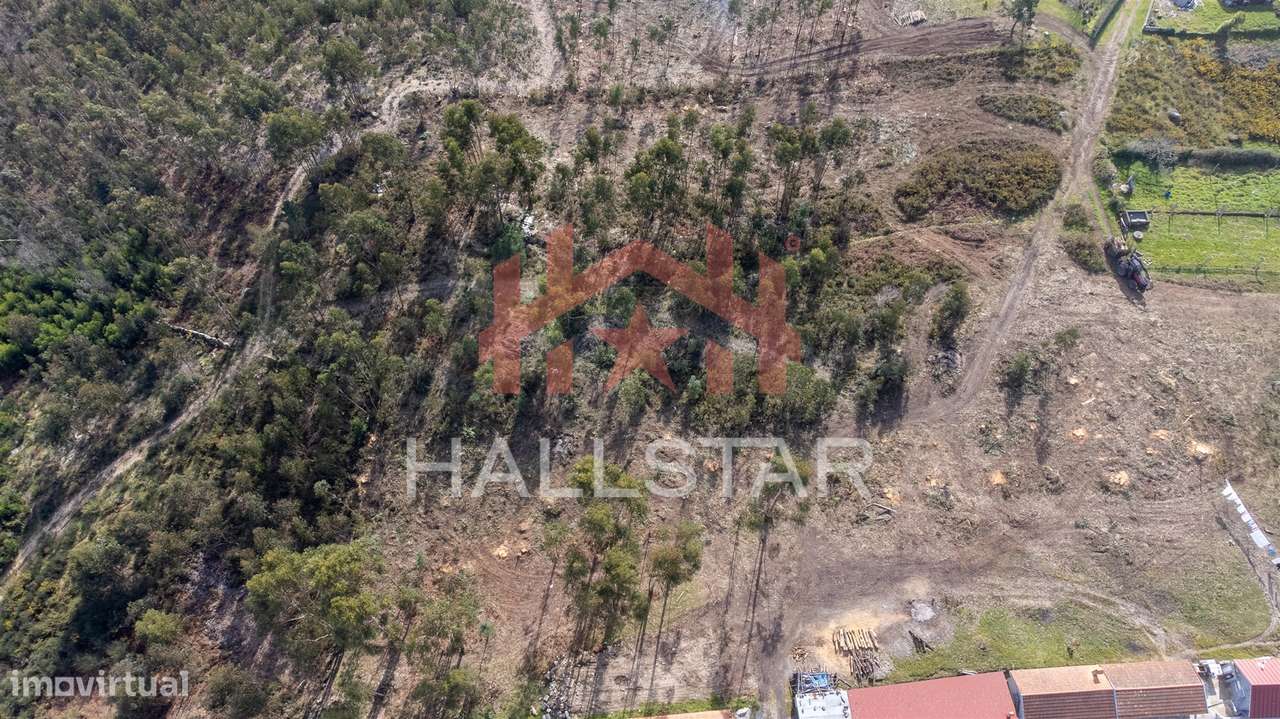 Terreno Florestal / Área Total 2.500m2 / Penafiel - Grande imagem: 3/6