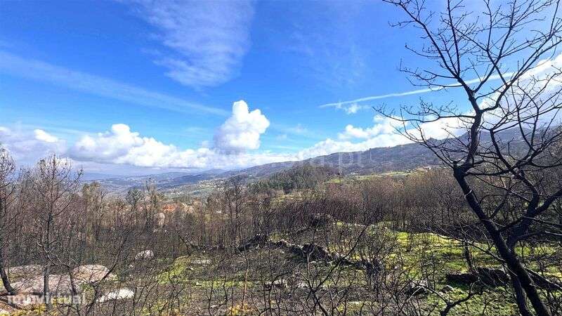 Terreno / Marco de Canaveses, Várzea, Aliviada e Folhada - Grande imagem: 4/14