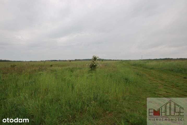 Mazurowice - Działki- Las - Malczyce / Blisko A4 - Pełny obrazek: 4/9