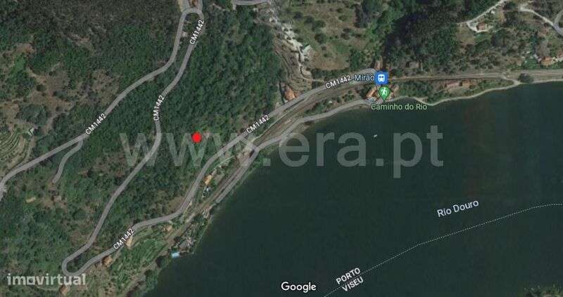 Quinta / Baião, Rio Douro - Grande imagem: 3/20