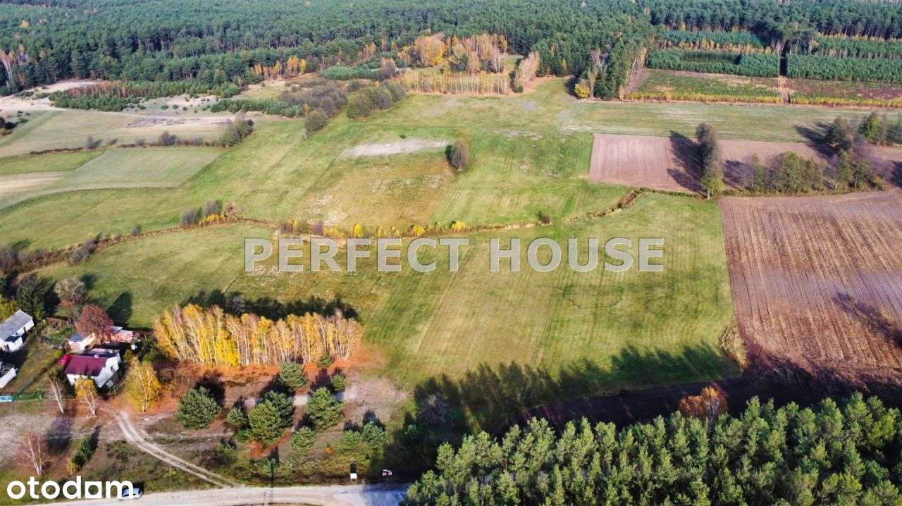 Urokliwa działka pod lasem, Wz, media - Pełny obrazek: 4/7