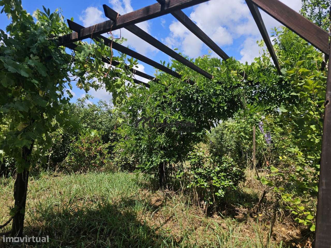 Quinta com habitação-15