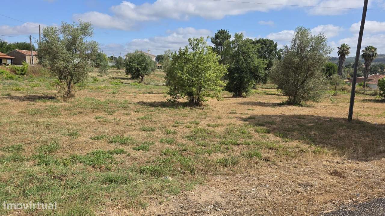 Terreno de Construção de Moradia-6