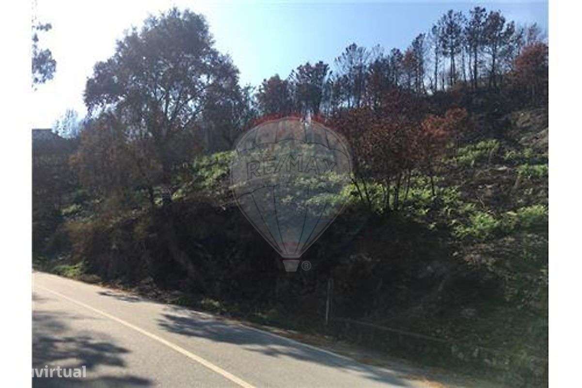 Terrenos - Santa Cruz do Douro e São Tomé - Grande imagem: 4/6