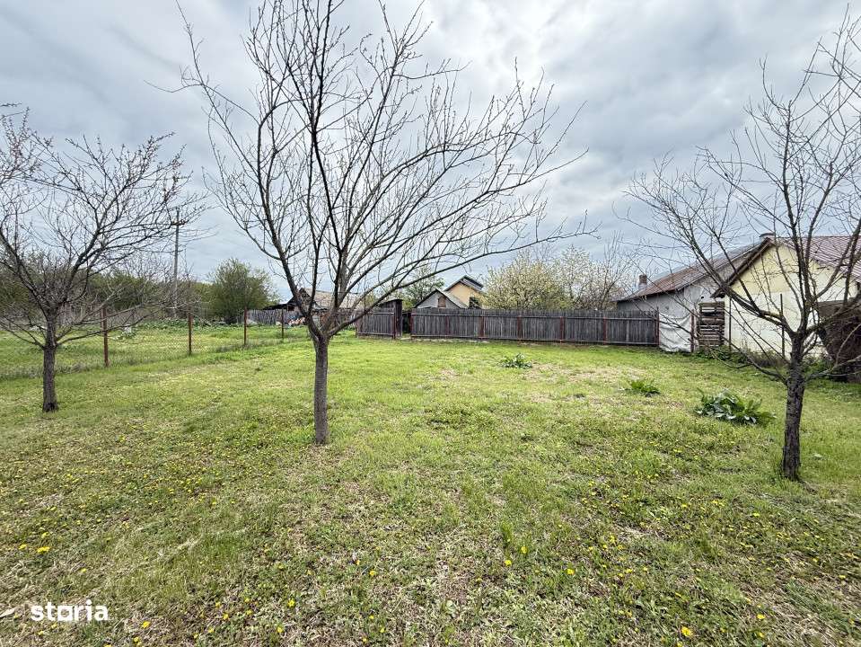 Casa cu livada Izvorani la 300m de Lacul Snagov asfalt si utilitati-17