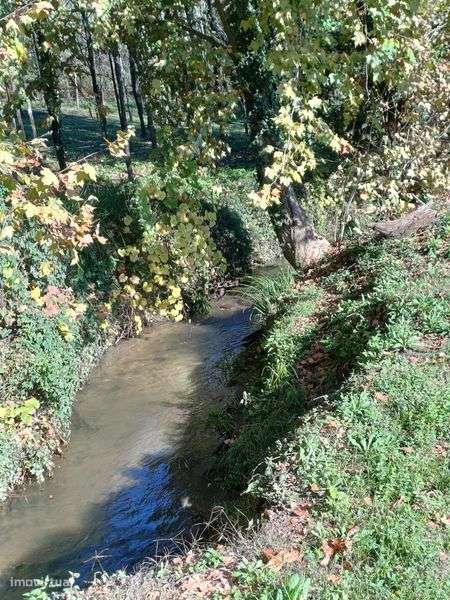 Aluger de boxes para cavalos - Grande imagem: 5/8