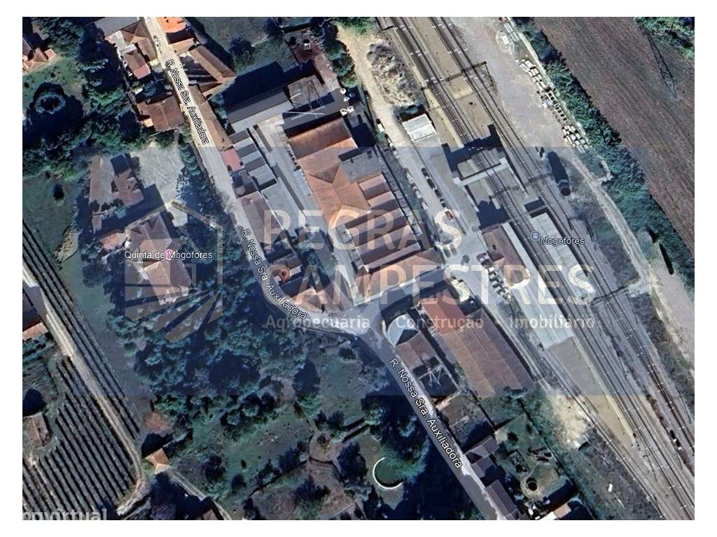 Moradia T7 Mogofores - Anadia-22