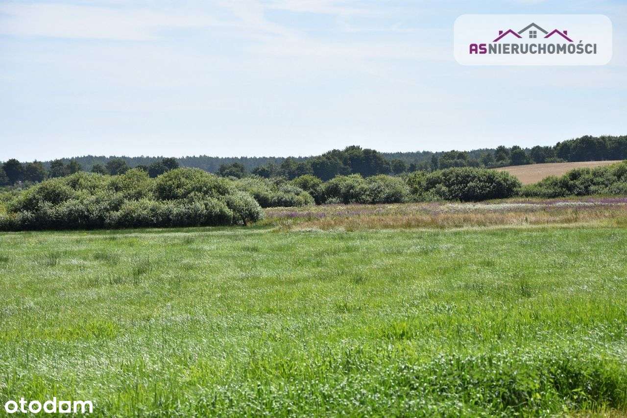 Działka w Zieleniewie,7km od morza,możliwa zamiana - Pełny obrazek: 5/17