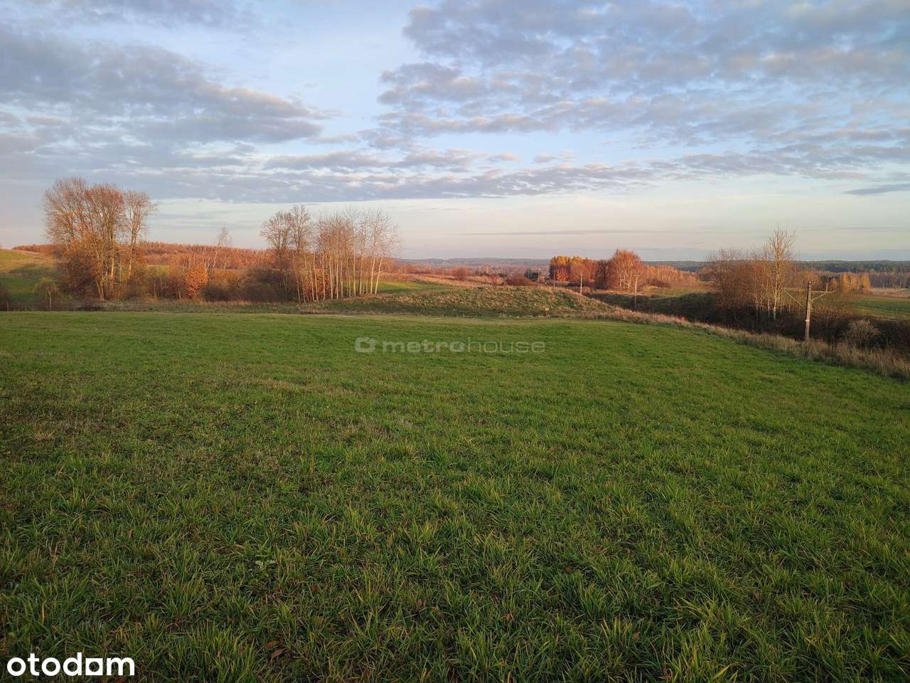 Działki rolne Mostkowo gmina Łukta - Pełny obrazek: 5/7