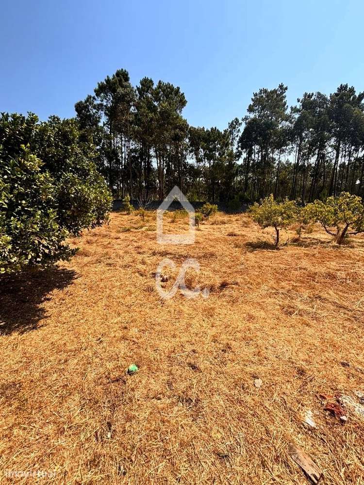 COIMBRÃO-------Venda global de Moradia individual T3 inserida em terre-43