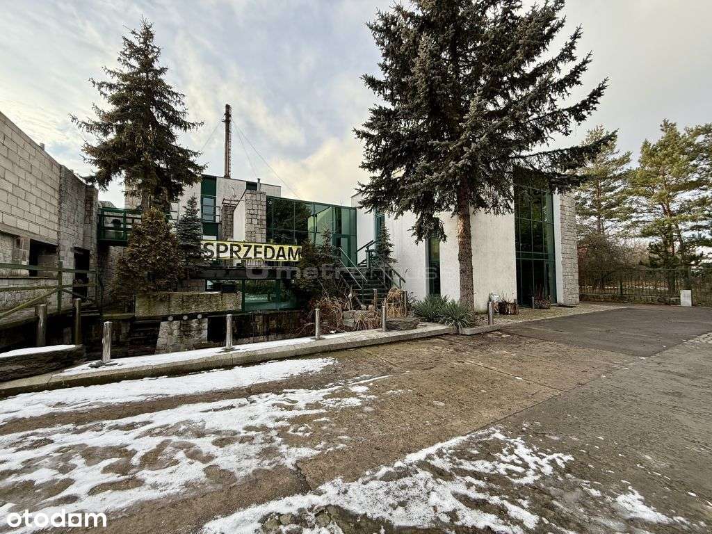 Hektarowa działka inwestycyjna w Toruniu - Pełny obrazek: 4/19