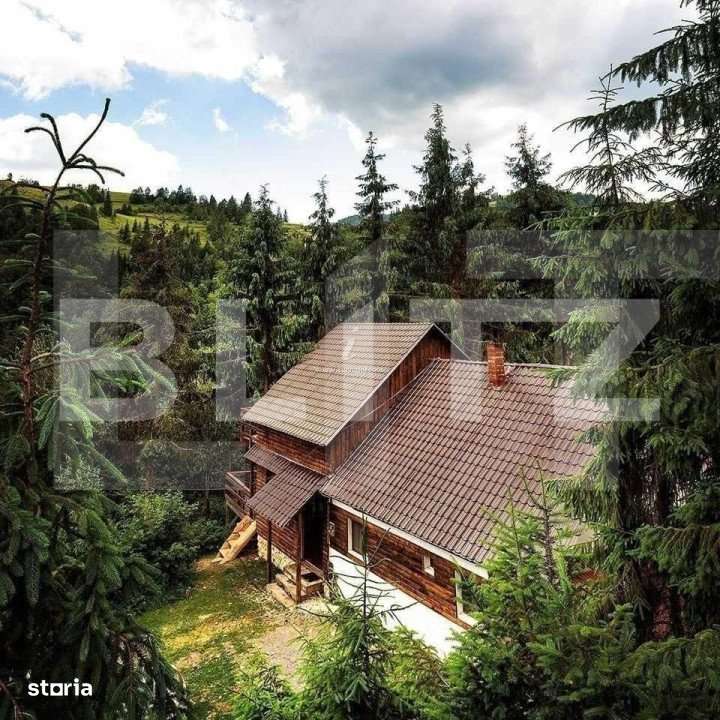 Cabana 8 camere, 450 mp, teren, 2200 mp, zona Garda de Sus - Imagine principală: 2/8