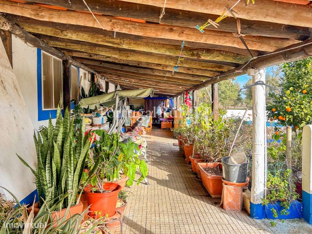 Quinta de 5 hectares, com 2 moradias e piscina-25