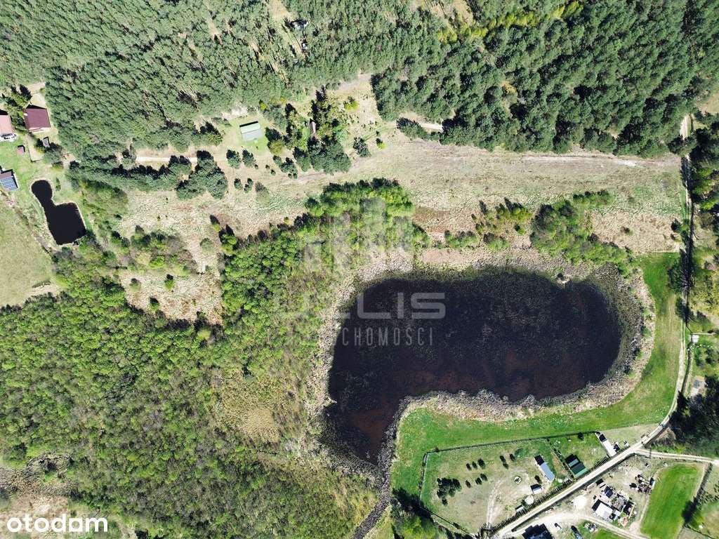 Twój kawałek raju, las, jezioro, Bory Tucholskie - Pełny obrazek: 4/20