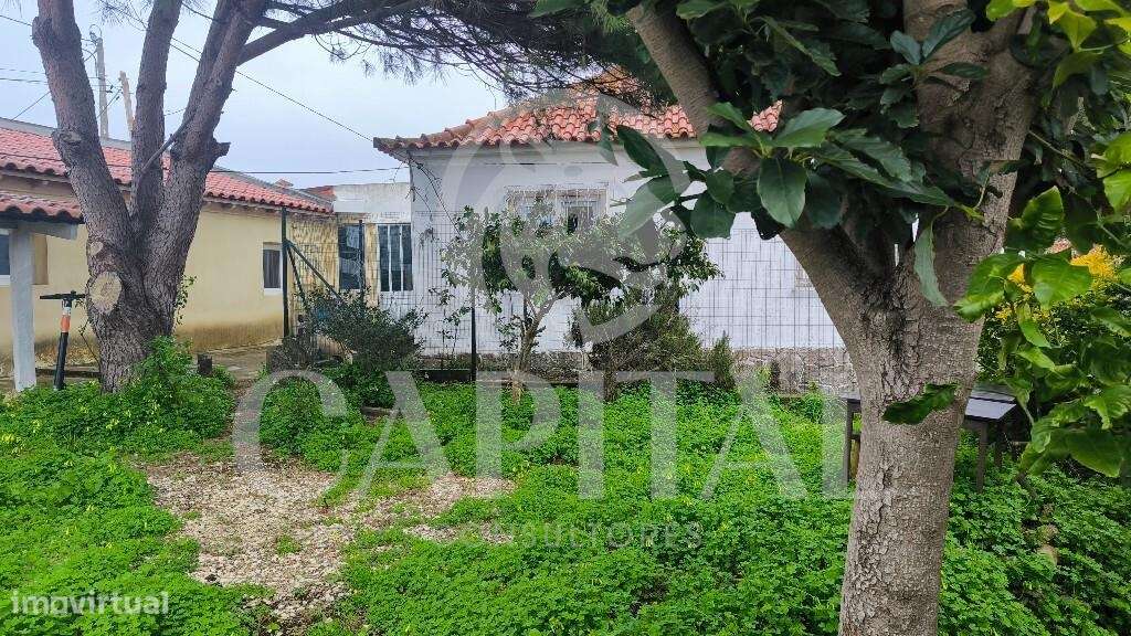 Oportunidade de Investimento Imobiliário – Albarraque | Sintra - Grande imagem: 5/13