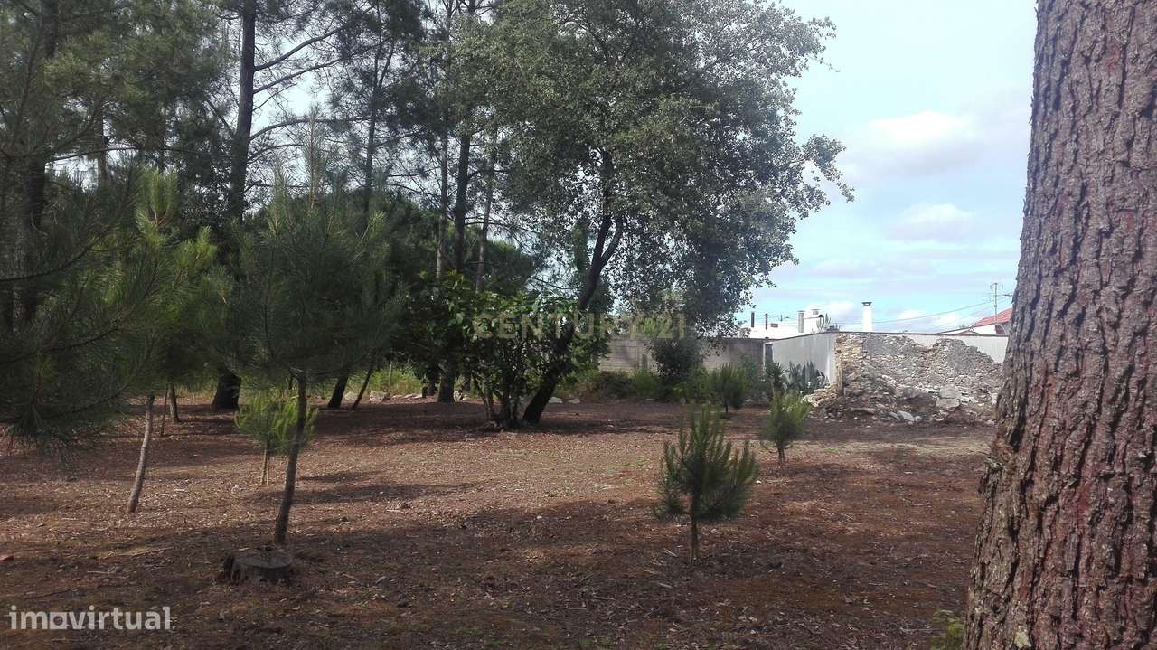 Terreno  para construção ideal para moradia unifamiliar - Grande imagem: 1/5