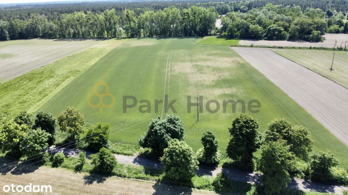 Działka 5737 m2 - Mpzp - Rawicz Sarnowa - Pełny obrazek: 4/4