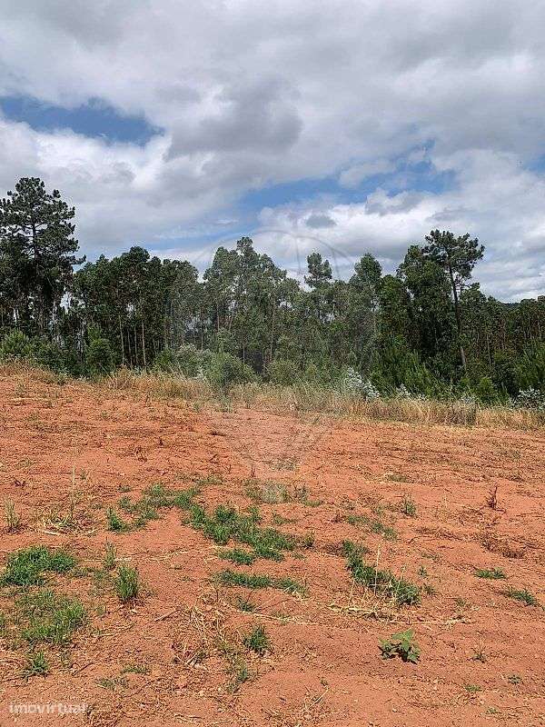 Terreno  para venda - Grande imagem: 5/16