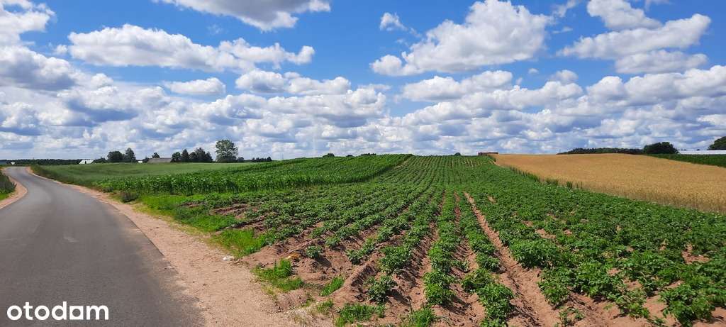 Działki w Dolinie Rospudy - Pełny obrazek: 4/5