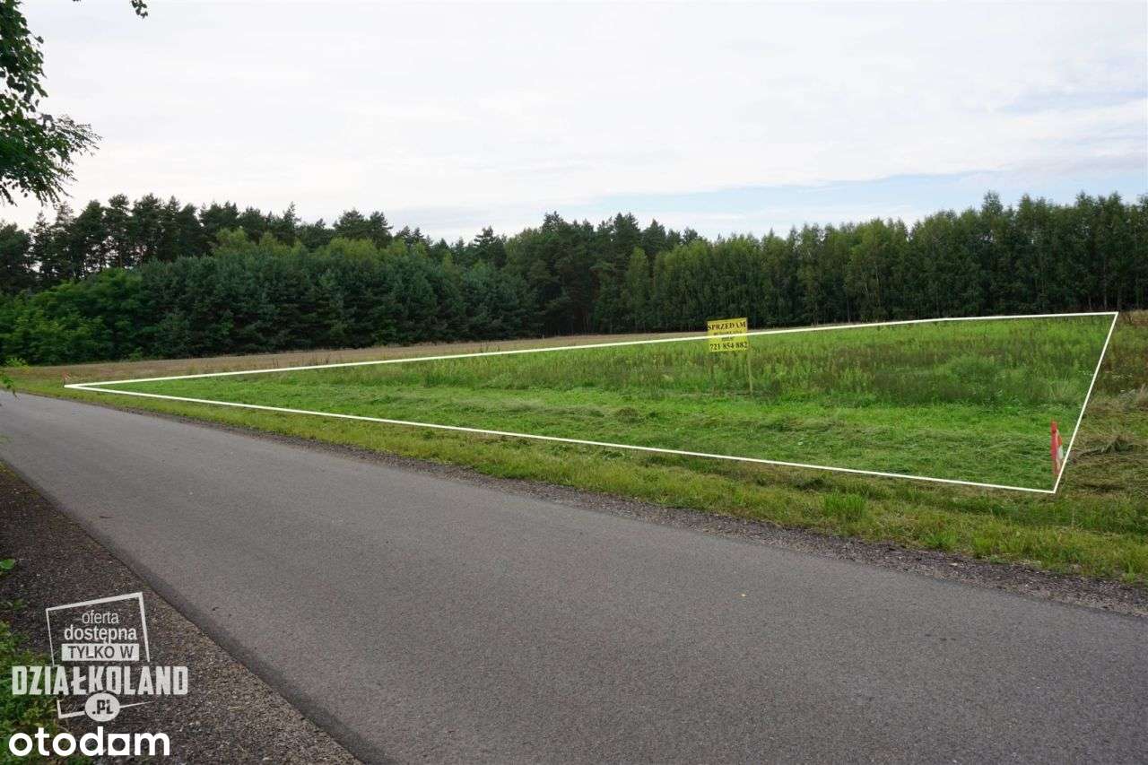 Dz. budowlana 4060 m², Skęczno (Kol. Piła), Zadzim-0