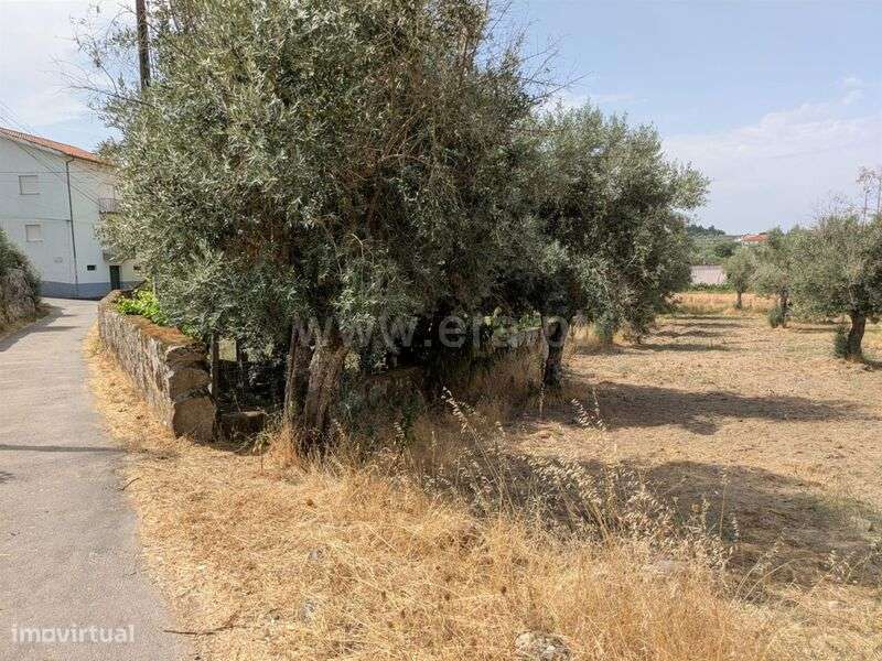 Terreno / Gouveia, Vila Nova de Tazem - Grande imagem: 4/5