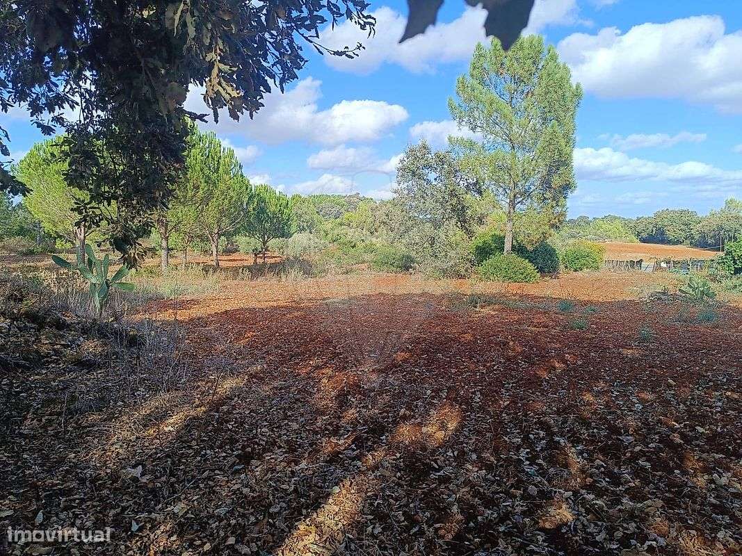 Terreno  para venda - Grande imagem: 2/5