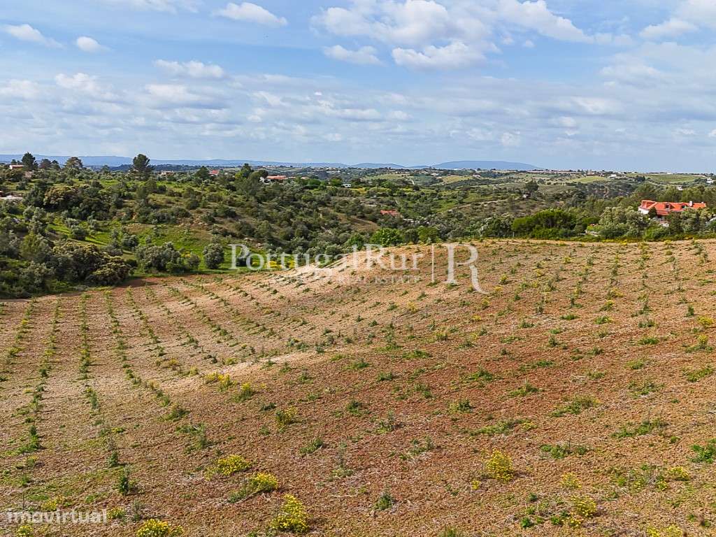 Quinta com 4,6 Hectares no Ribatejo - Grande imagem: 5/18