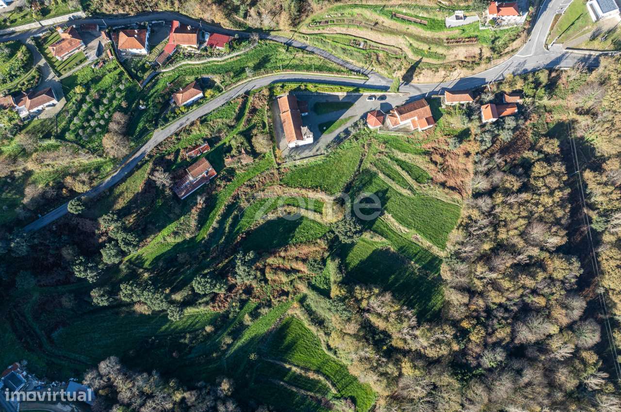 Quinta Sto Estevão - Arouca - Grande imagem: 4/18