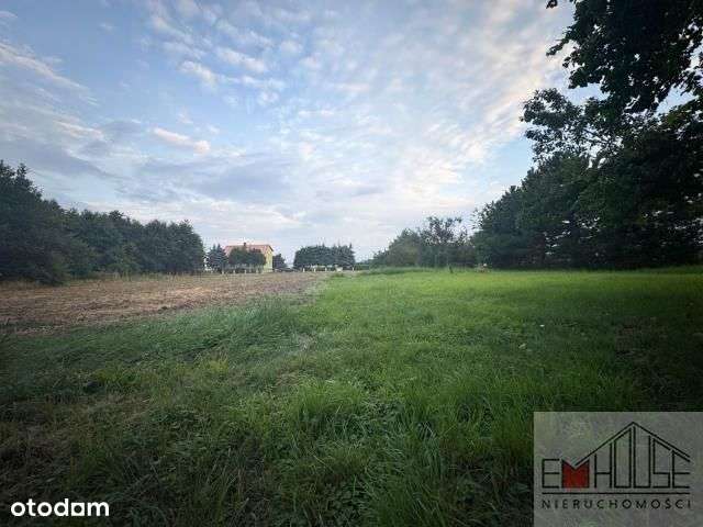 Kotowice-Działka-Las-blisko Wrocław/ Szewce-8
