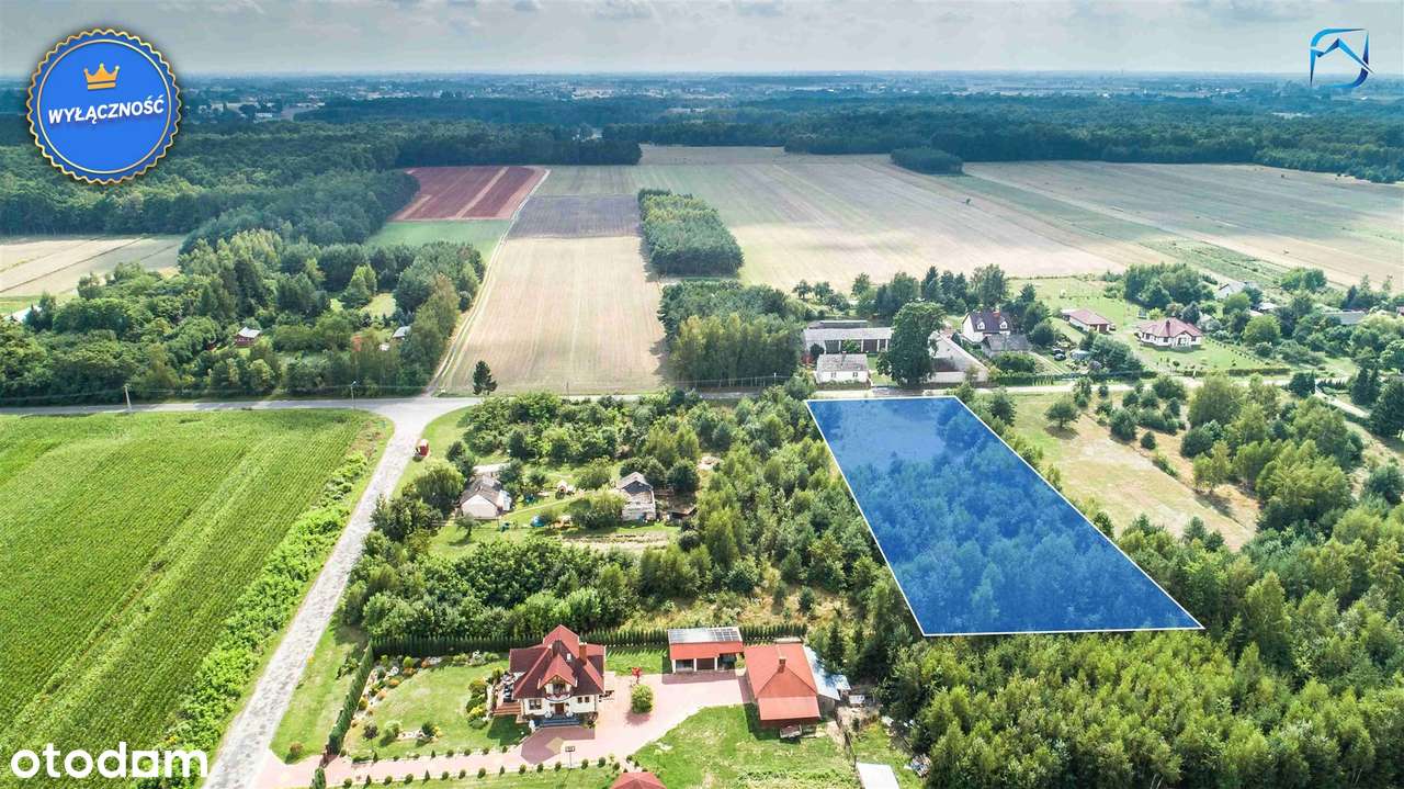 Dratów Kolonia - Atrakcyjny grunt inwestycyjny - Pełny obrazek: 4/5