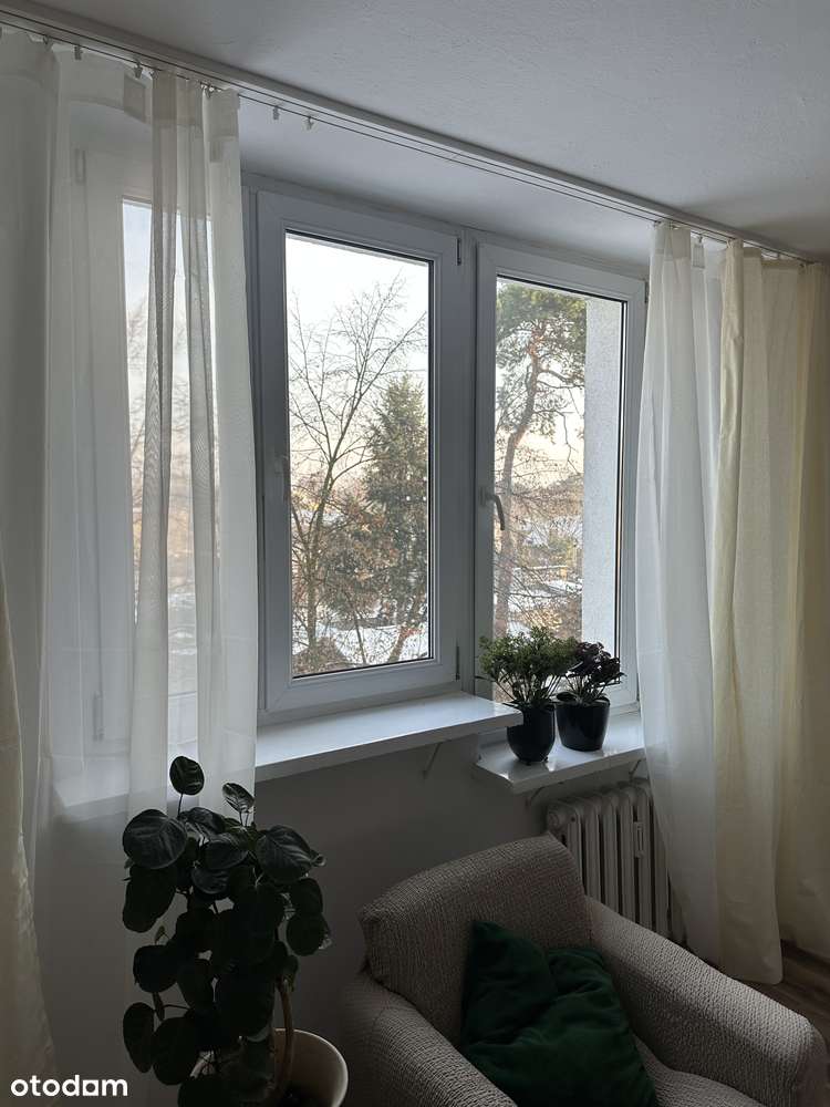 3 pokoje | 48 m2 | z balkonem | wśród zieleni | po remoncie - Pełny obrazek: 2/14