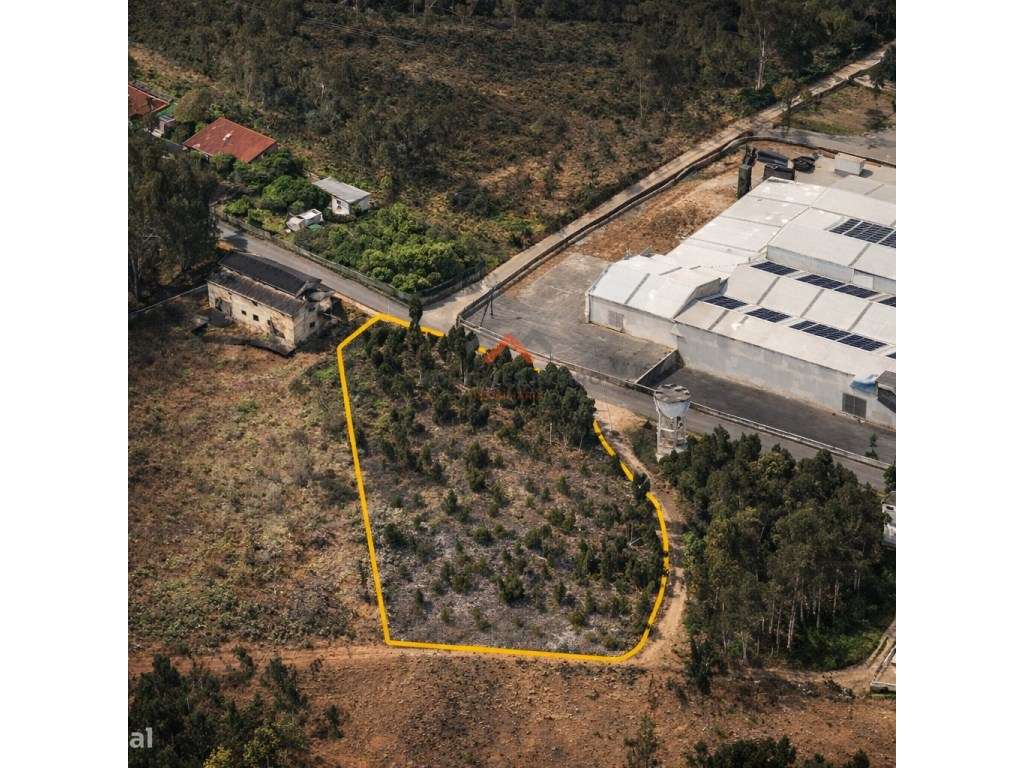 Terreno 3960m² para Construção, possibilidade de Permuta - Grande imagem: 2/5