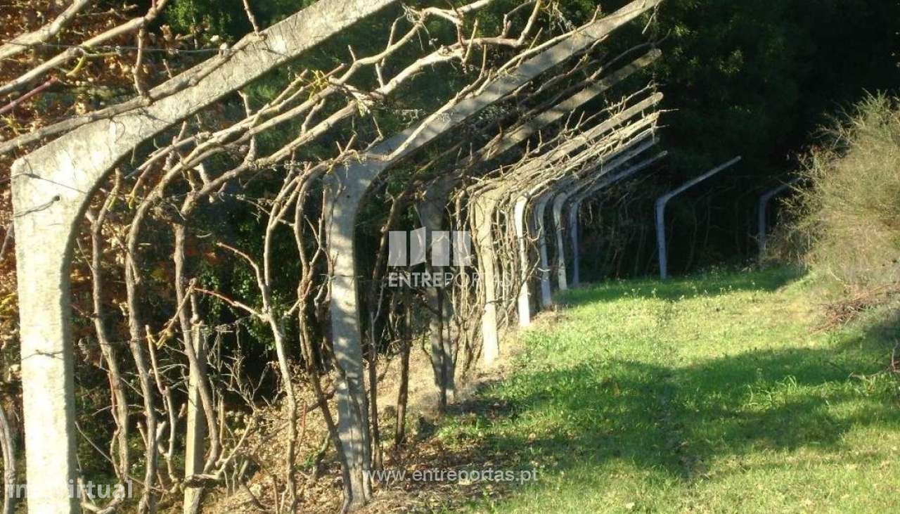 Venda Terreno, Várzea de Ovelha e Aliviada, Marco de Canaveses - Grande imagem: 5/11