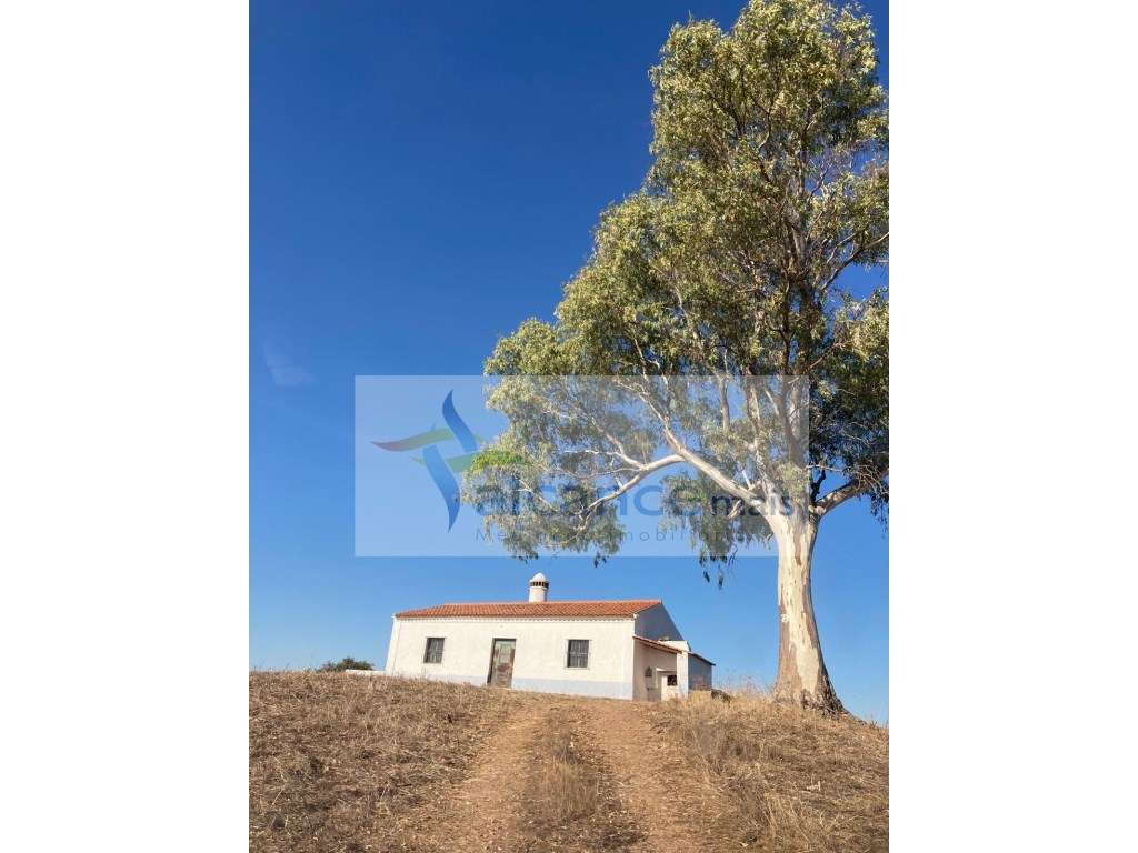 Herdade com 814hectares no Baixo Alentejo / Moura / Fronteira com E...-14