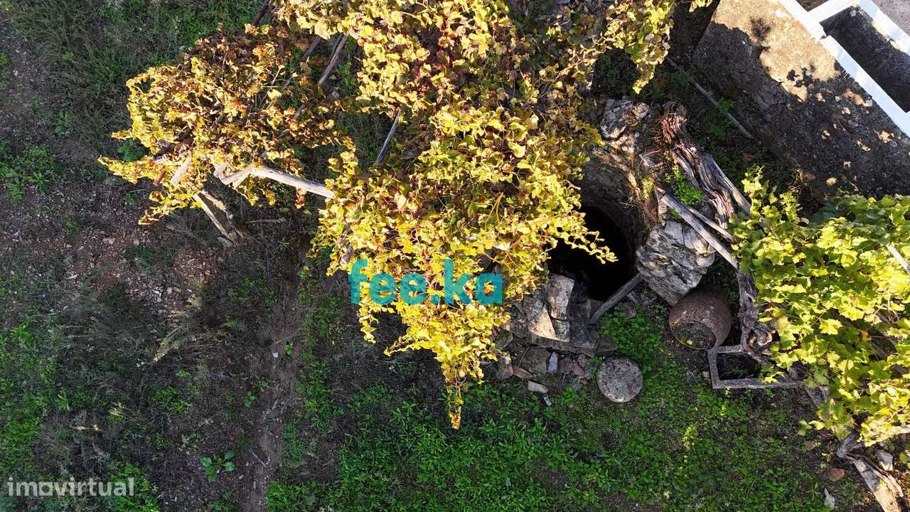 Terreno em Vale Figueira-17