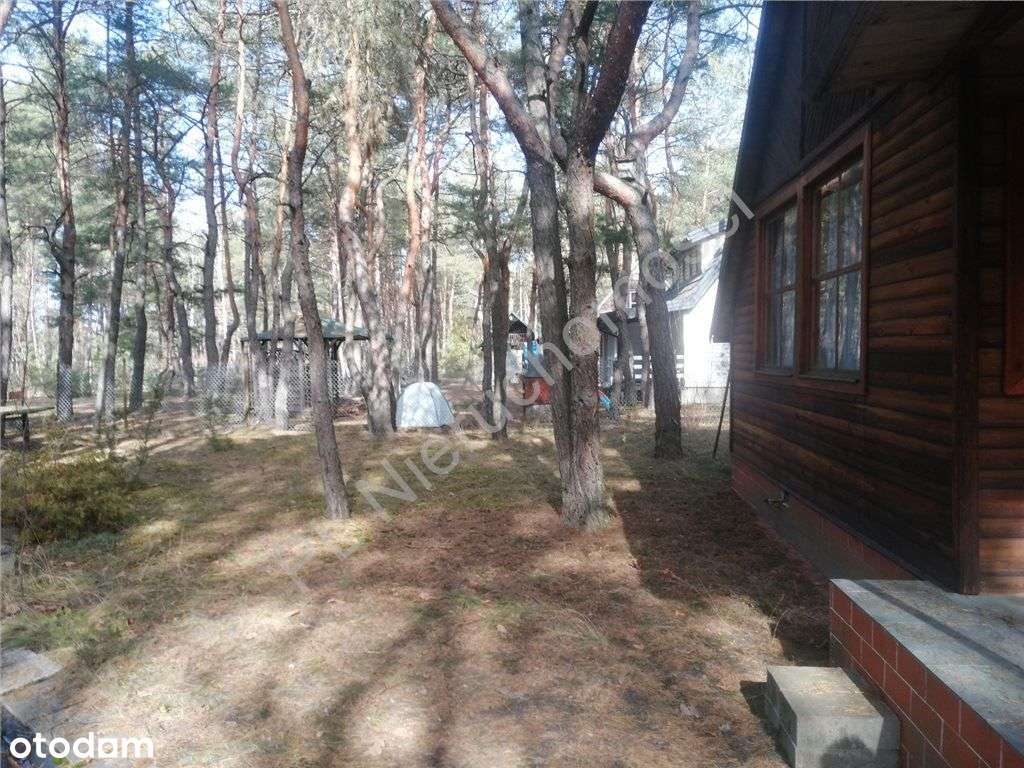 Dom letniskowy wśród lasów w gminie Dobre-18