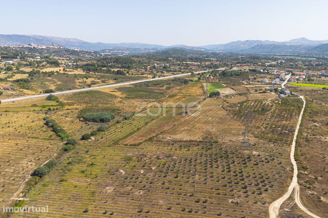 Terreno com projeto agrícola em Belmonte - Grande imagem: 4/15