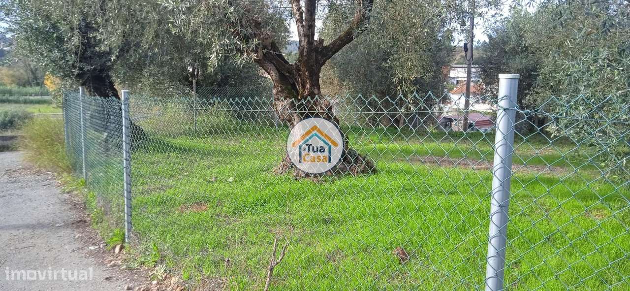 Terreno Rústico em Souselas com 1.813,50 m2 - Grande imagem: 3/16