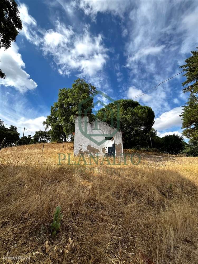 Quinta >=T10 Venda em Cortiçadas de Lavre e Lavre,Montemor-o-Novo-28
