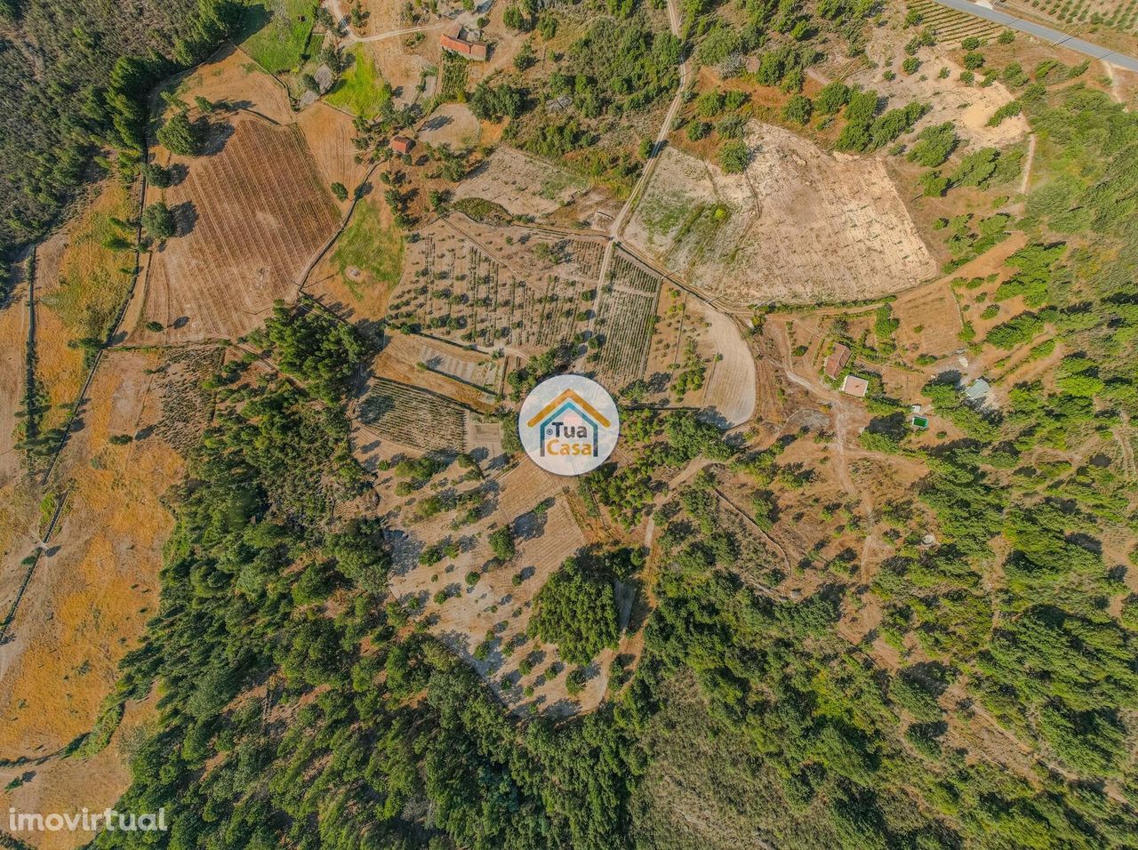 Terreno Rústico com 5 Hectares, em Sernancelhe