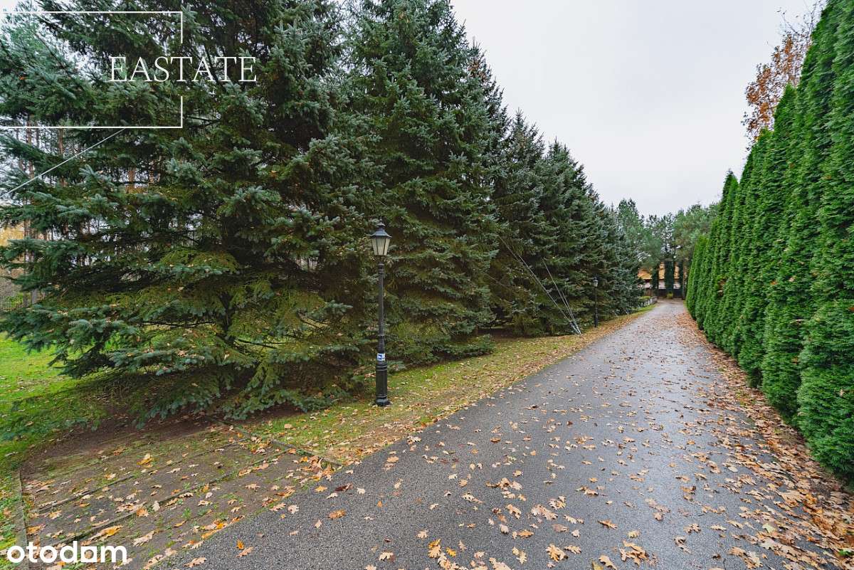 Działka budowlana, częściowo zalesiona, 1668 m2 - Pełny obrazek: 4/12